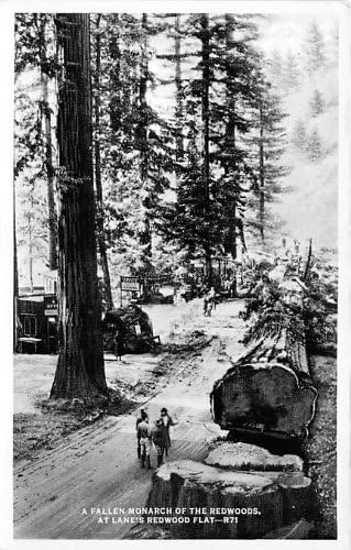 California Redwoods, California Razglednica