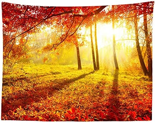CORFOTO tkanina 9x6ft jesen lišće tema Photoshoot pozadina zelena trava listopadno plavo nebo scena Baby
