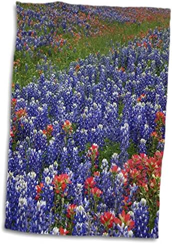 3Droza - Danita Delimant - Cvijeće - Texas Hill Country Wild Clowers. BlueBonnets i indijski četkica - ručnici