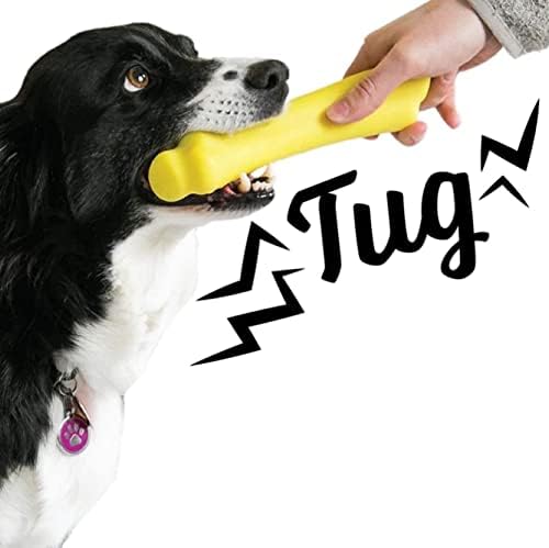 WO Igrajte izdržljive kuglice za brusnicu i malu koštanu pad malog pasmine, izrađene u američkim igračkama psa