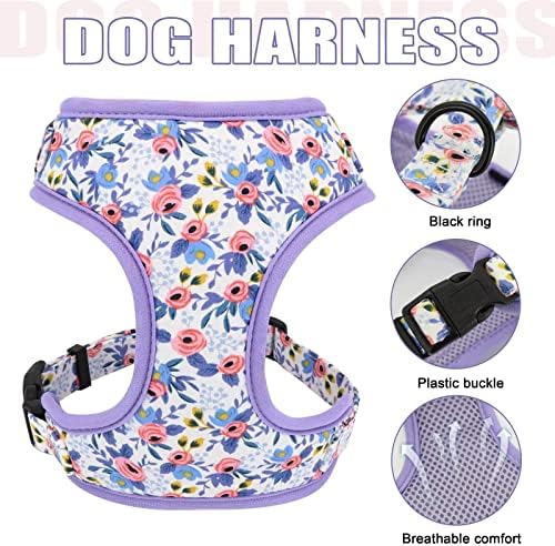 Beirui Cute Girl Pas ogrlice, kabelovi i povodci - podesivi ovratnik za pse i povodac set sa cvijećem - mekani mrežasti pseći prsluk za štenad Mali srednje pse