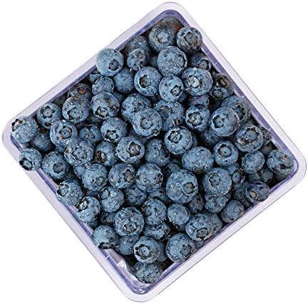 HIC kuhinja BerryFresh pola Pinta kutija za proizvodnju, plava, BPA besplatno